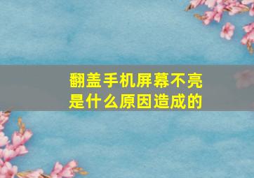 翻盖手机屏幕不亮是什么原因造成的