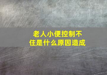 老人小便控制不住是什么原因造成