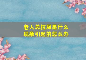 老人总拉屎是什么现象引起的怎么办