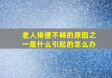 老人排便不畅的原因之一是什么引起的怎么办