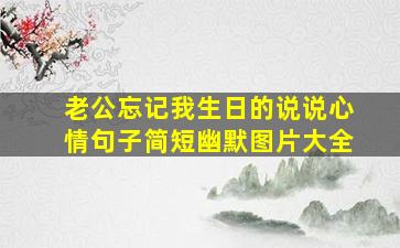 老公忘记我生日的说说心情句子简短幽默图片大全