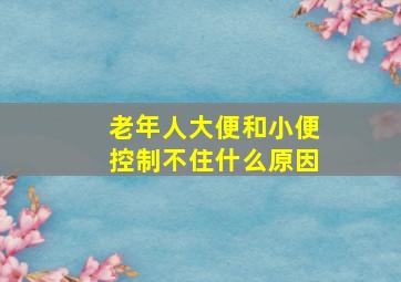 老年人大便和小便控制不住什么原因