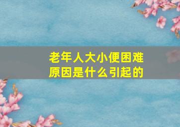 老年人大小便困难原因是什么引起的