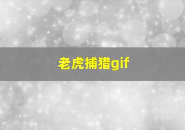 老虎捕猎gif