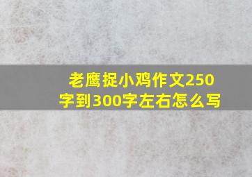 老鹰捉小鸡作文250字到300字左右怎么写