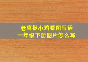 老鹰捉小鸡看图写话一年级下册图片怎么写