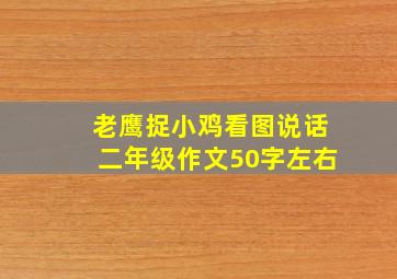 老鹰捉小鸡看图说话二年级作文50字左右