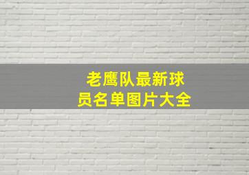 老鹰队最新球员名单图片大全