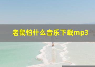 老鼠怕什么音乐下载mp3