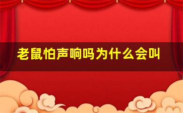 老鼠怕声响吗为什么会叫