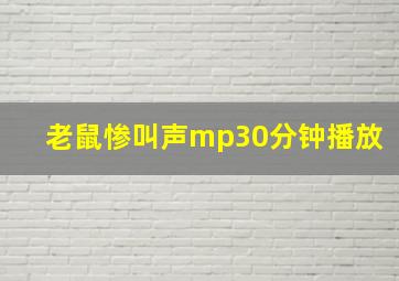 老鼠惨叫声mp30分钟播放