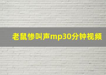 老鼠惨叫声mp30分钟视频