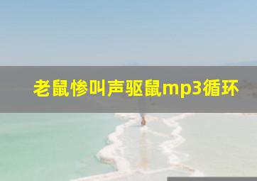 老鼠惨叫声驱鼠mp3循环