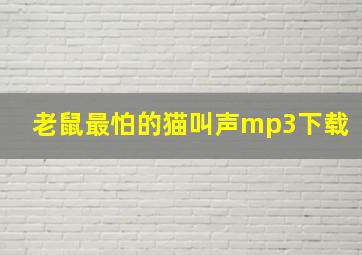 老鼠最怕的猫叫声mp3下载