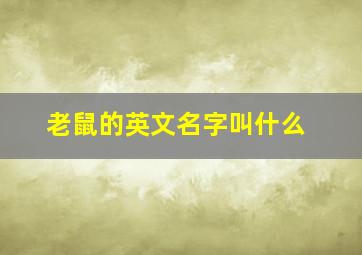 老鼠的英文名字叫什么