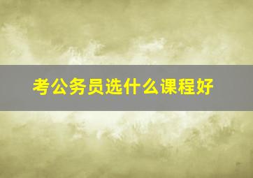 考公务员选什么课程好