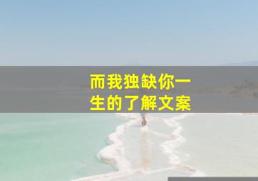 而我独缺你一生的了解文案