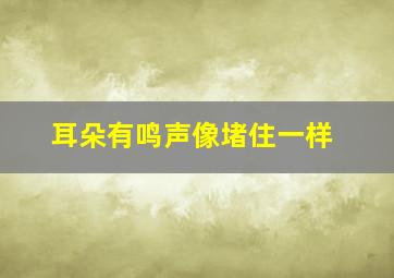 耳朵有鸣声像堵住一样