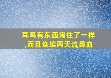 耳鸣有东西堵住了一样,而且连续两天流鼻血