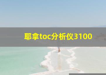 耶拿toc分析仪3100