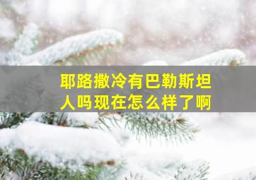 耶路撒冷有巴勒斯坦人吗现在怎么样了啊