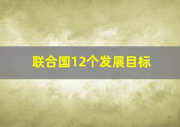 联合国12个发展目标