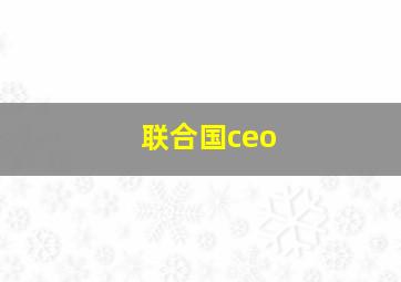 联合国ceo