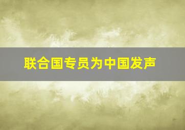 联合国专员为中国发声