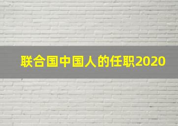 联合国中国人的任职2020