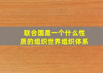 联合国是一个什么性质的组织世界组织体系