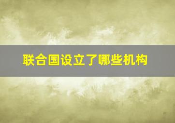 联合国设立了哪些机构