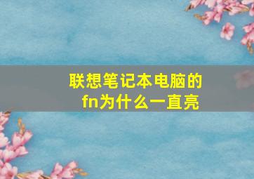 联想笔记本电脑的fn为什么一直亮