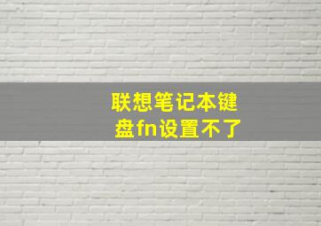 联想笔记本键盘fn设置不了