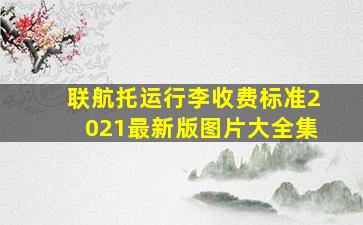 联航托运行李收费标准2021最新版图片大全集