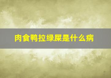 肉食鸭拉绿屎是什么病