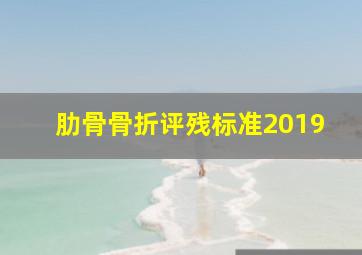 肋骨骨折评残标准2019