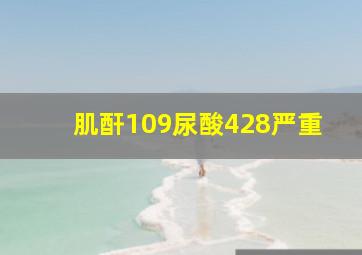 肌酐109尿酸428严重