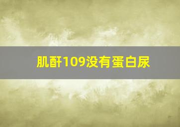 肌酐109没有蛋白尿