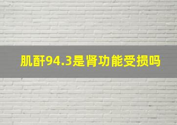 肌酐94.3是肾功能受损吗