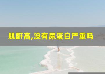 肌酐高,没有尿蛋白严重吗