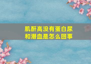 肌酐高没有蛋白尿和潜血是怎么回事