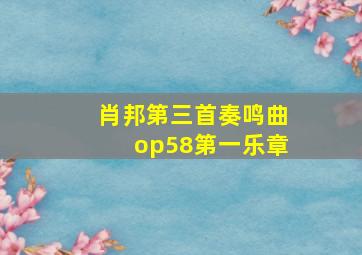 肖邦第三首奏鸣曲op58第一乐章