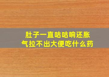 肚子一直咕咕响还胀气拉不出大便吃什么药