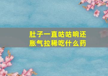 肚子一直咕咕响还胀气拉稀吃什么药