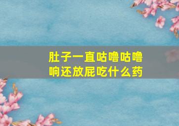 肚子一直咕噜咕噜响还放屁吃什么药