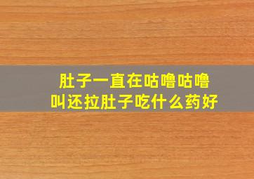 肚子一直在咕噜咕噜叫还拉肚子吃什么药好