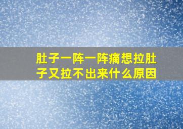 肚子一阵一阵痛想拉肚子又拉不出来什么原因