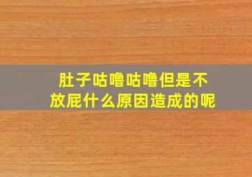 肚子咕噜咕噜但是不放屁什么原因造成的呢