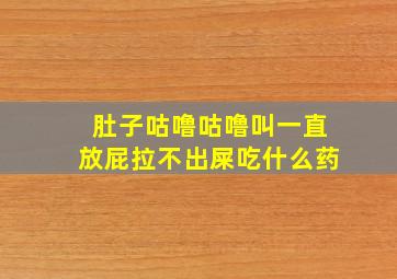 肚子咕噜咕噜叫一直放屁拉不出屎吃什么药