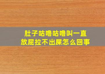 肚子咕噜咕噜叫一直放屁拉不出屎怎么回事